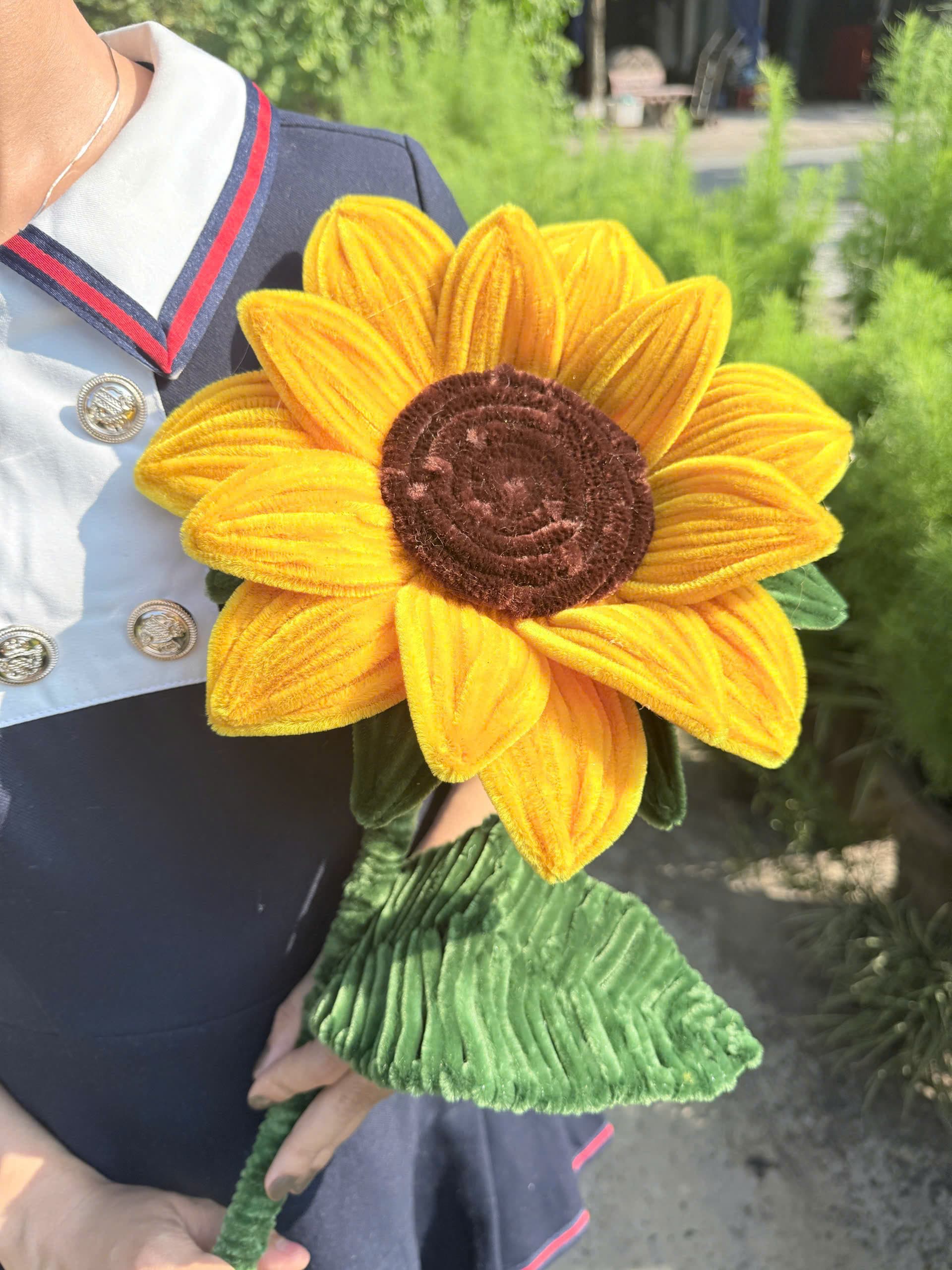 Hướng dương khổng lồ